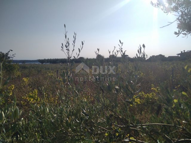 Appartamento In vendita - Istarska Novigrad - foto 2/15