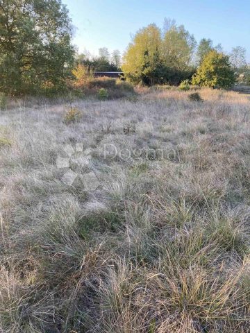 Land For sale - Istarska Karojba - foto 4/6