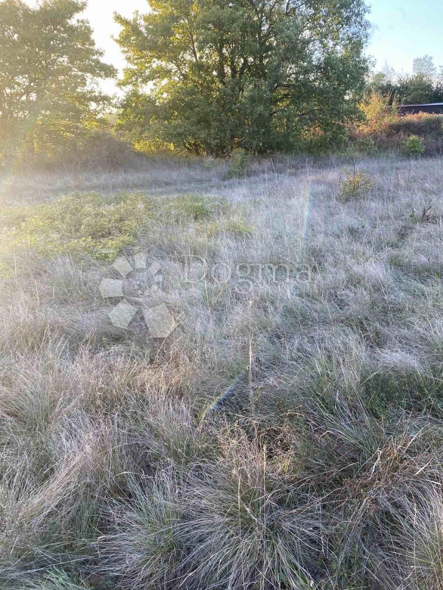 Land For sale - ISTARSKA  Karojba