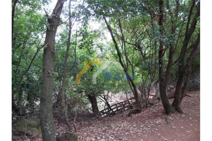 Zemljište na prodaju 67054 m² – Vodnjan