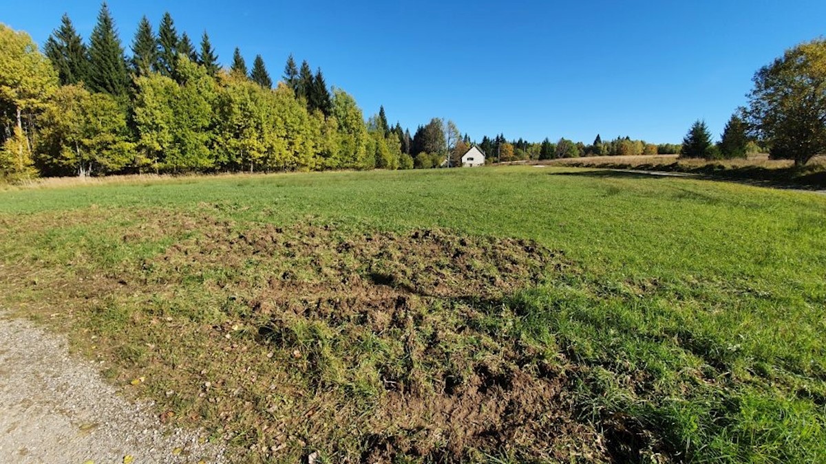 Terreno In vendita - PRIMORSKO-GORANSKA  RAVNA GORA 