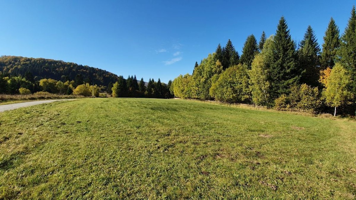 Terreno In vendita - PRIMORSKO-GORANSKA  RAVNA GORA 