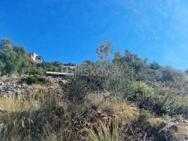 Land For sale - Splitsko-dalmatinska Marina - foto 5/7