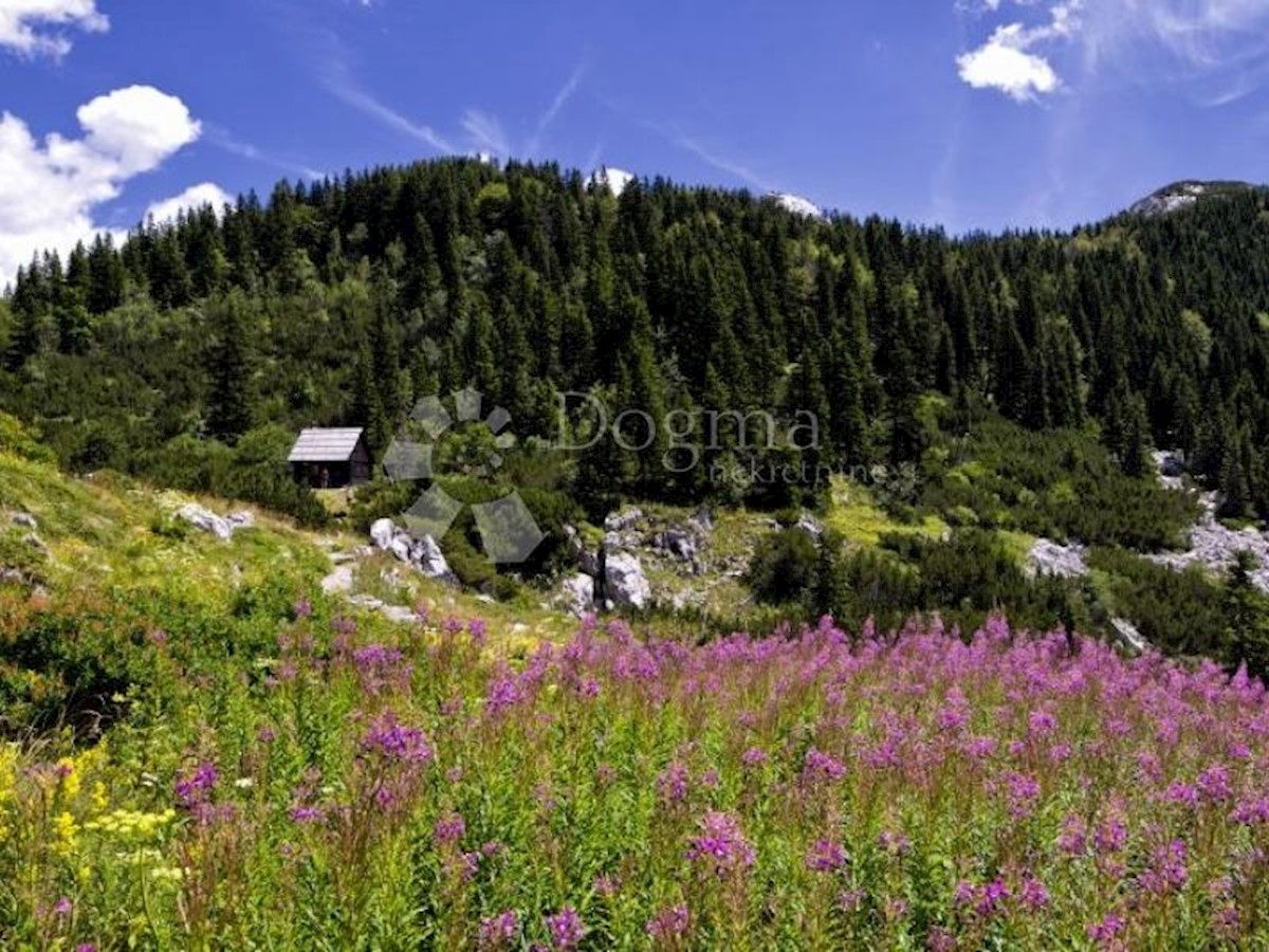 Dom Na predaj - LIČKO-SENJSKA  GOSPIĆ 