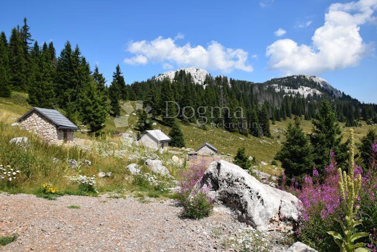 Casa In vendita - LIČKO-SENJSKA  GOSPIĆ 