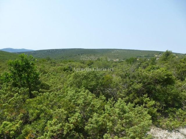 Terrain À vendre - Zadarska Sveti Filip I Jakov - foto 3/5