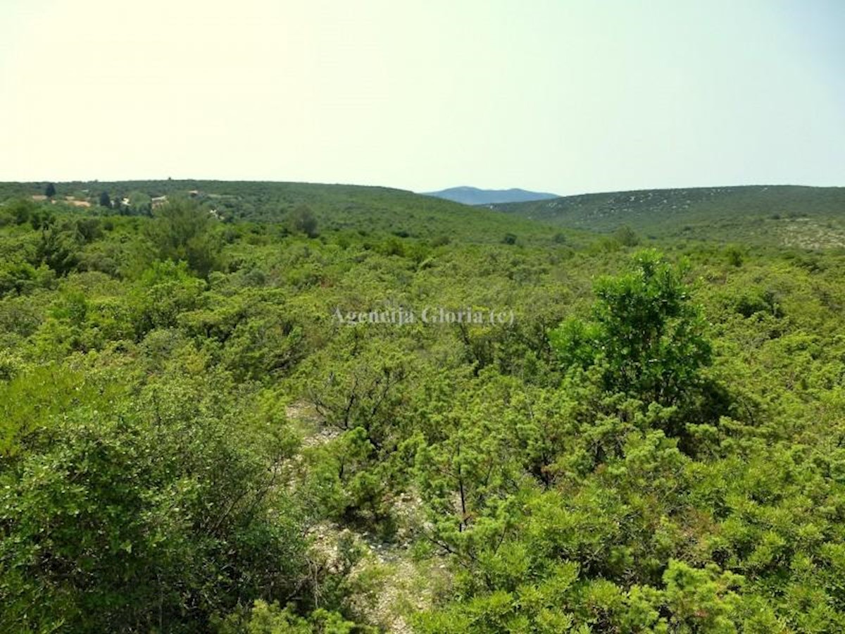 Land For sale - ZADARSKA  SVETI FILIP I JAKOV 