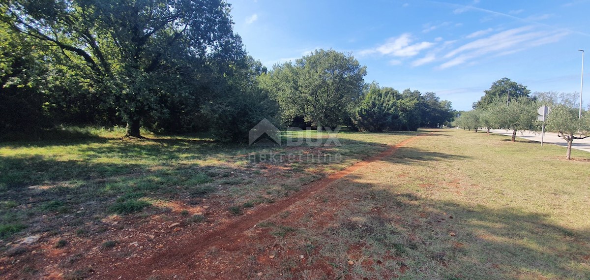 Terreno In vendita - ISTARSKA  POREČ 