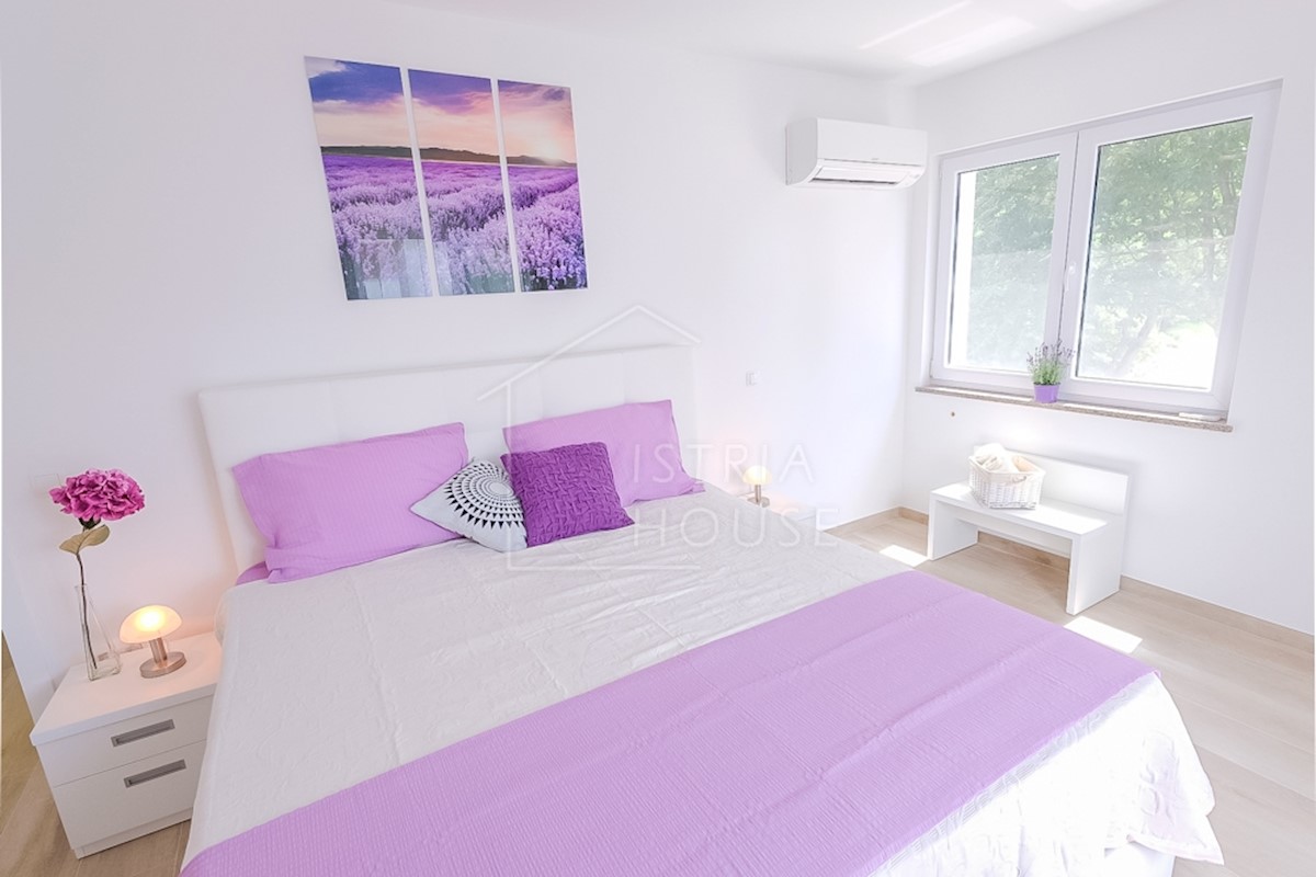House For sale - ISTARSKA  SVETVINČENAT 