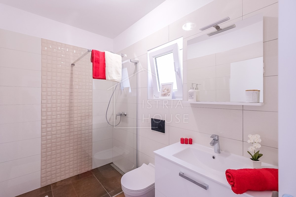 House For sale - ISTARSKA  SVETVINČENAT 