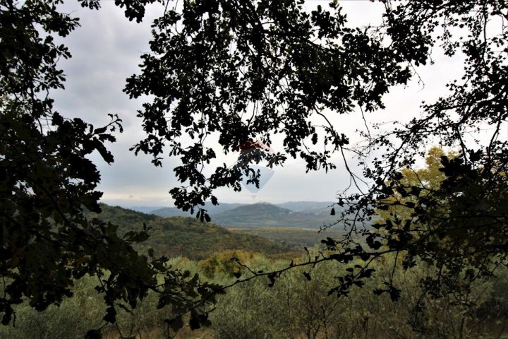 Terrain à vendre 27260 m² – Oprtalj
