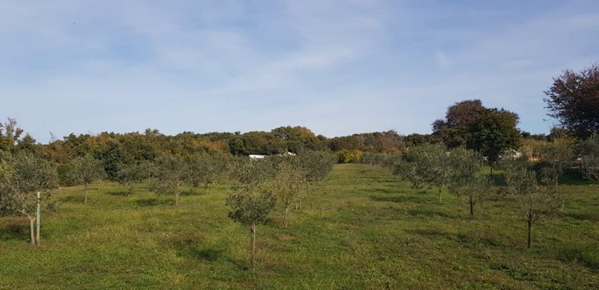 Zemljište Na prodaju - ISTARSKA  LIŽNJAN 