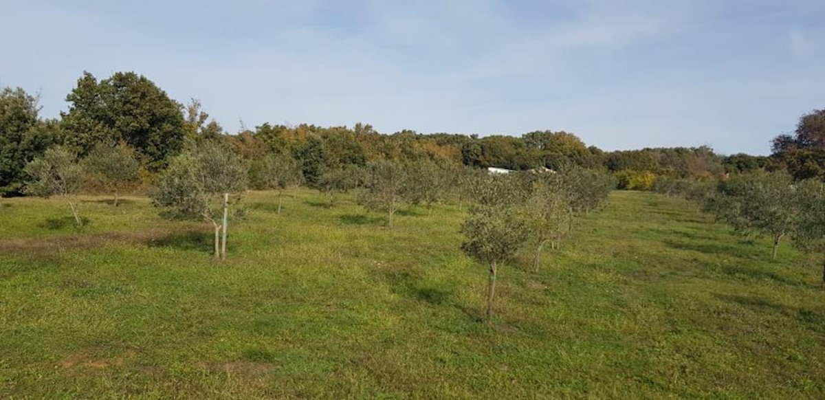 Zemljište Na prodaju - ISTARSKA  LIŽNJAN 