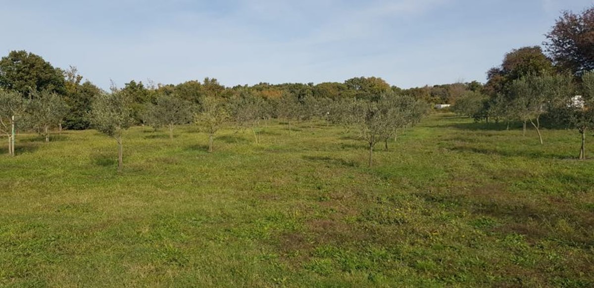 Zemljište Na prodaju - ISTARSKA  LIŽNJAN 