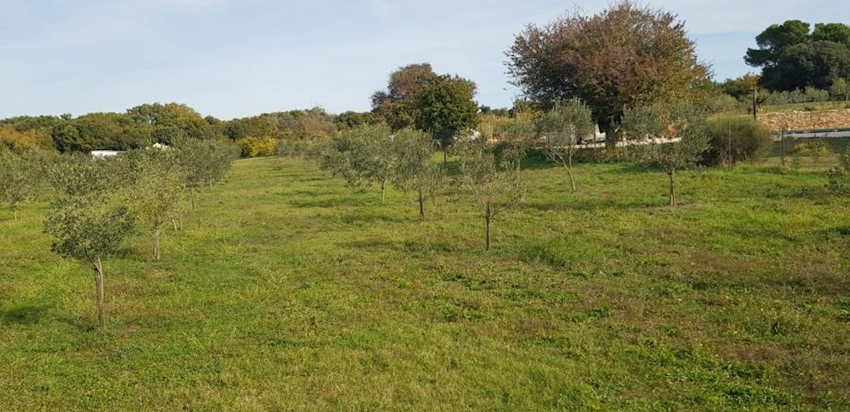 Zemljište Na prodaju - ISTARSKA  LIŽNJAN 