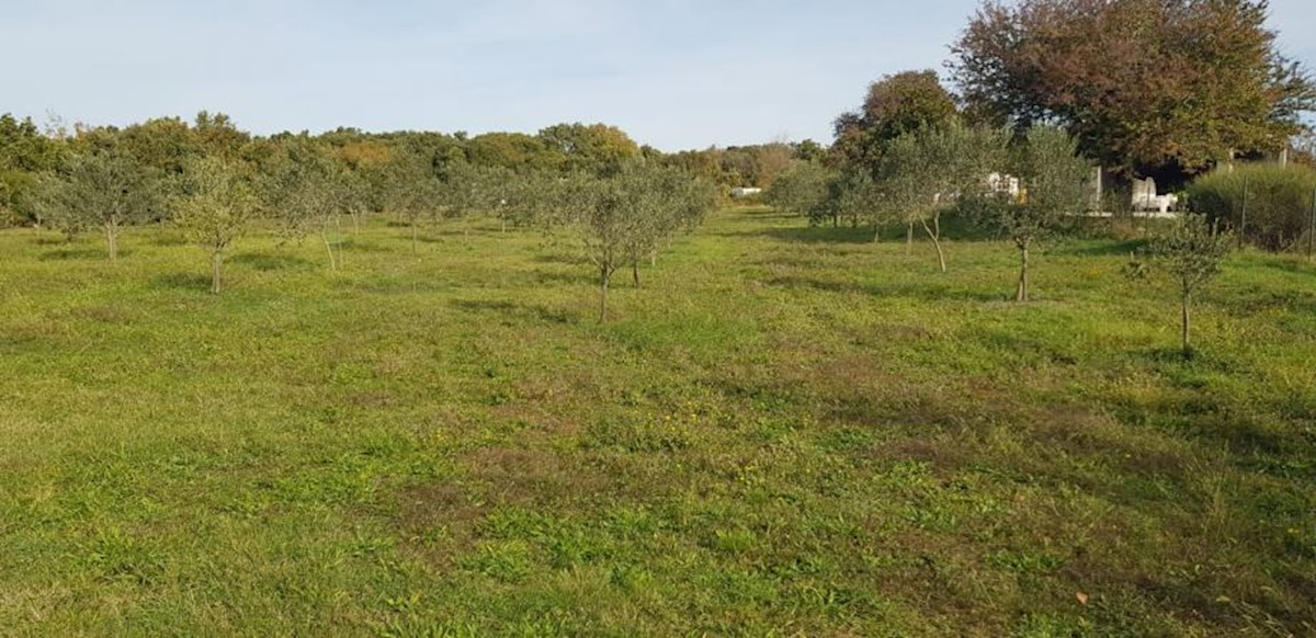 Zemljište Na prodaju - ISTARSKA  LIŽNJAN 