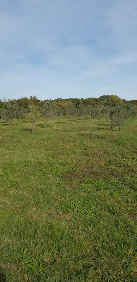 Zemljište Na prodaju - ISTARSKA  LIŽNJAN 