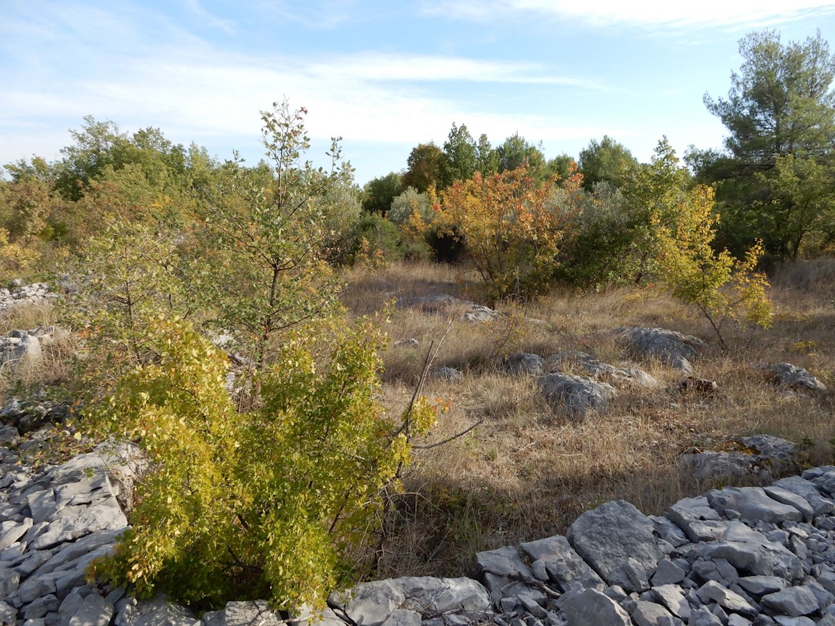 Zemljište Na prodaju - ŠIBENSKO-KNINSKA  VODICE 