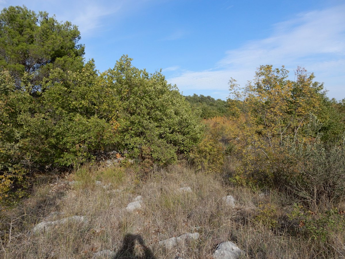 Zemljište Na prodaju - ŠIBENSKO-KNINSKA  VODICE 