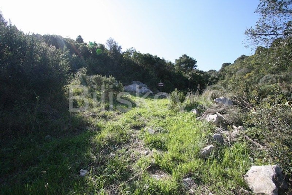 Land For sale - DUBROVAČKO-NERETVANSKA  LASTOVO 