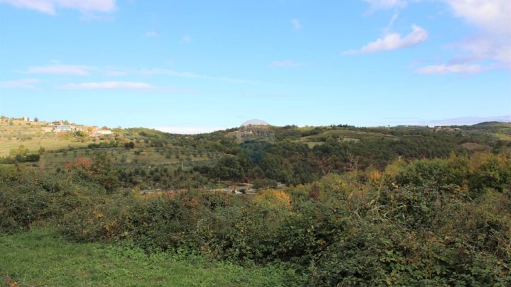 House For sale - Istarska Buje - foto 4/11