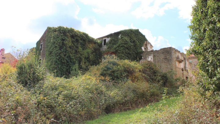 House For sale - Istarska Buje - foto 5/11