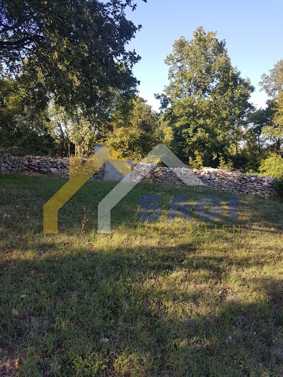 Land For sale - ISTARSKA  LIŽNJAN 