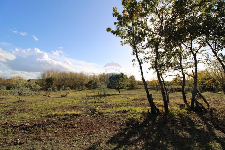 Pozemek na prodej 8578 m² – Labinci