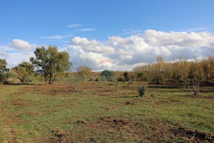 Grundstück Zu verkaufen - Istarska Kaštelir - foto 4/9