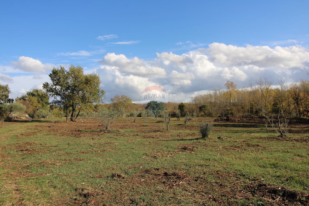 Zemljište Na prodaju - ISTARSKA  KAŠTELIR 