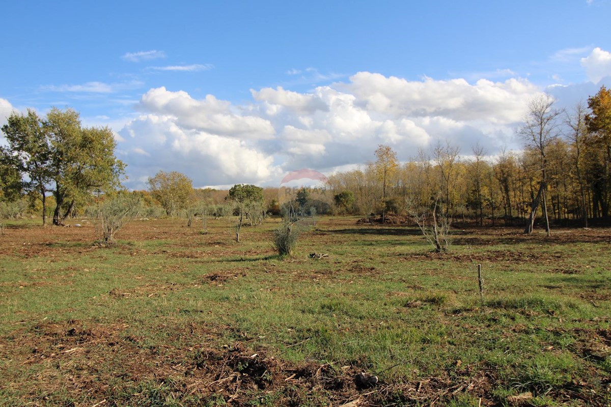 Terreno In vendita - ISTARSKA  KAŠTELIR 