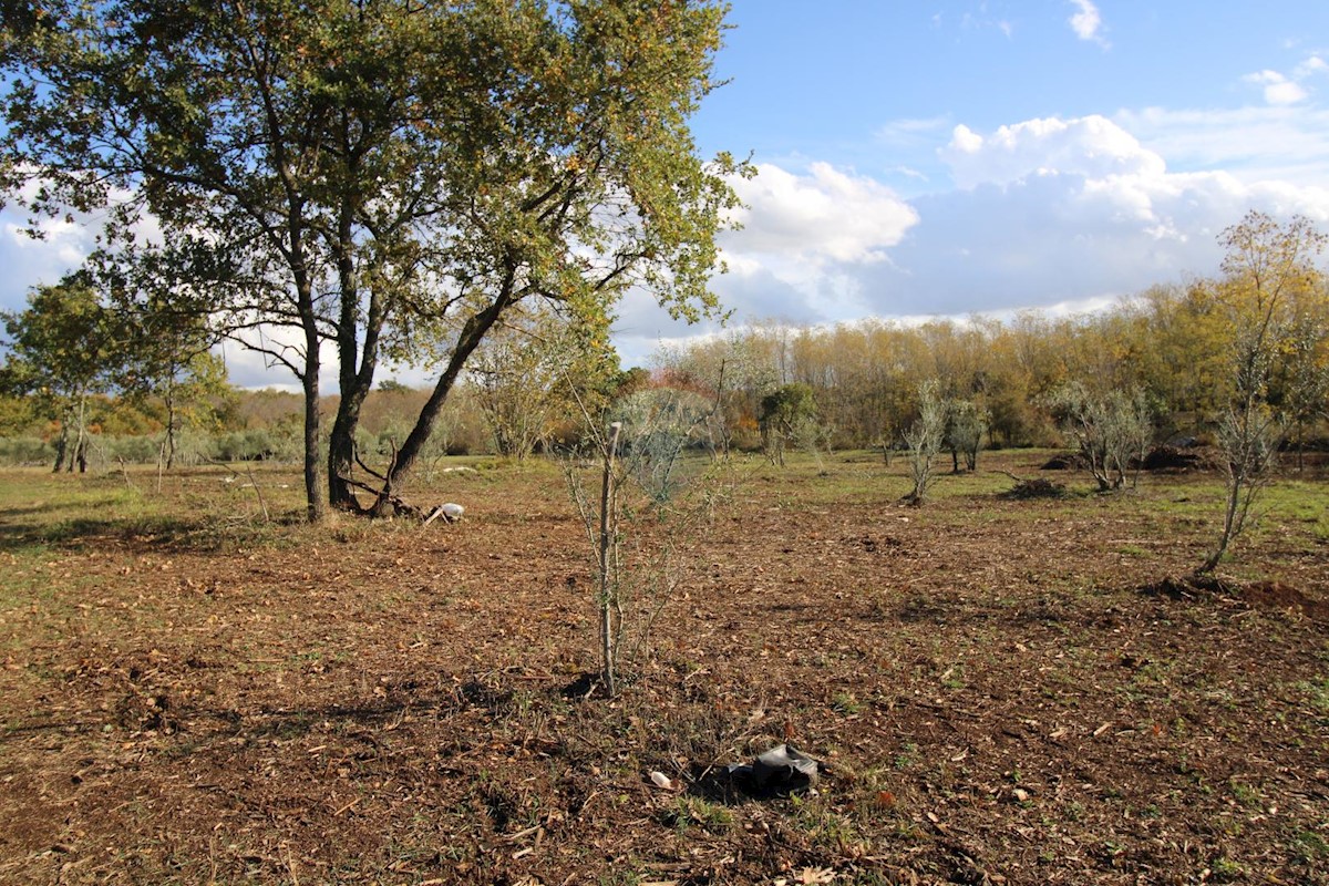 Terrain À vendre - ISTARSKA  KAŠTELIR 