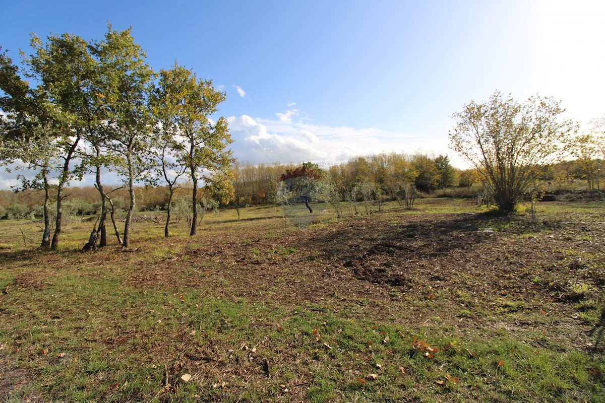 Terreno In vendita - ISTARSKA  KAŠTELIR 