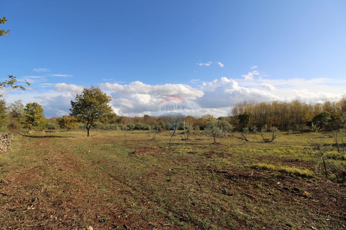 Terrain À vendre - ISTARSKA  KAŠTELIR 