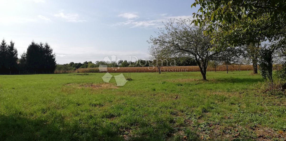 Land For sale OKRUGLI VRH