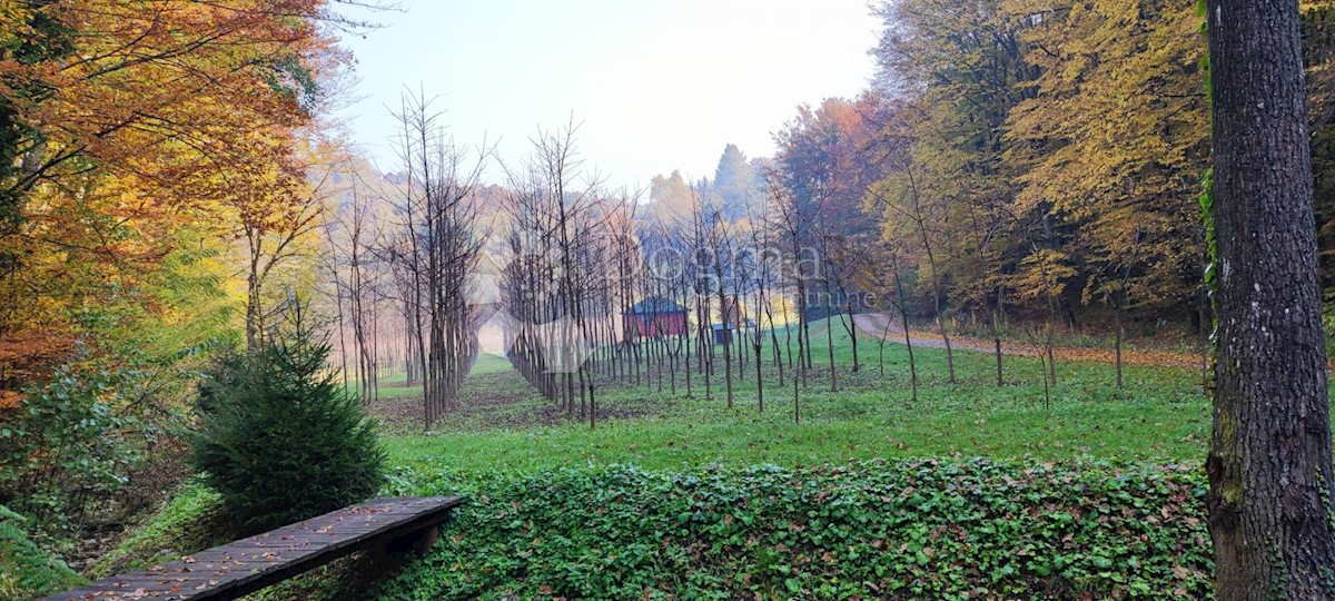 Parcela Na predaj - VARAŽDINSKA  LJUBEŠĆICA 
