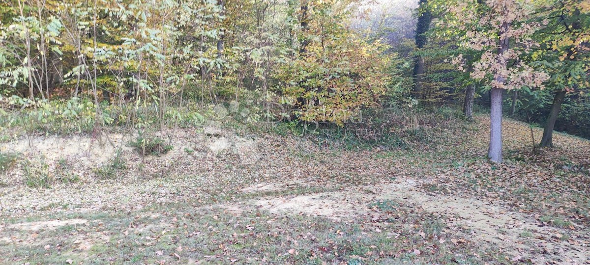 Parcela Na predaj - VARAŽDINSKA  LJUBEŠĆICA 