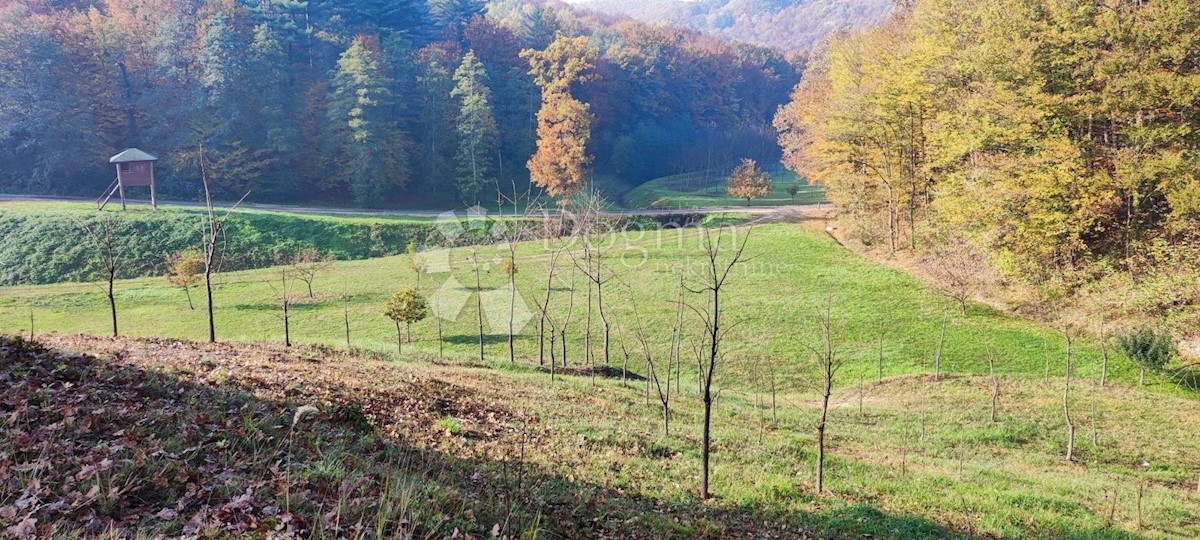 Parcela Na predaj - VARAŽDINSKA  LJUBEŠĆICA 