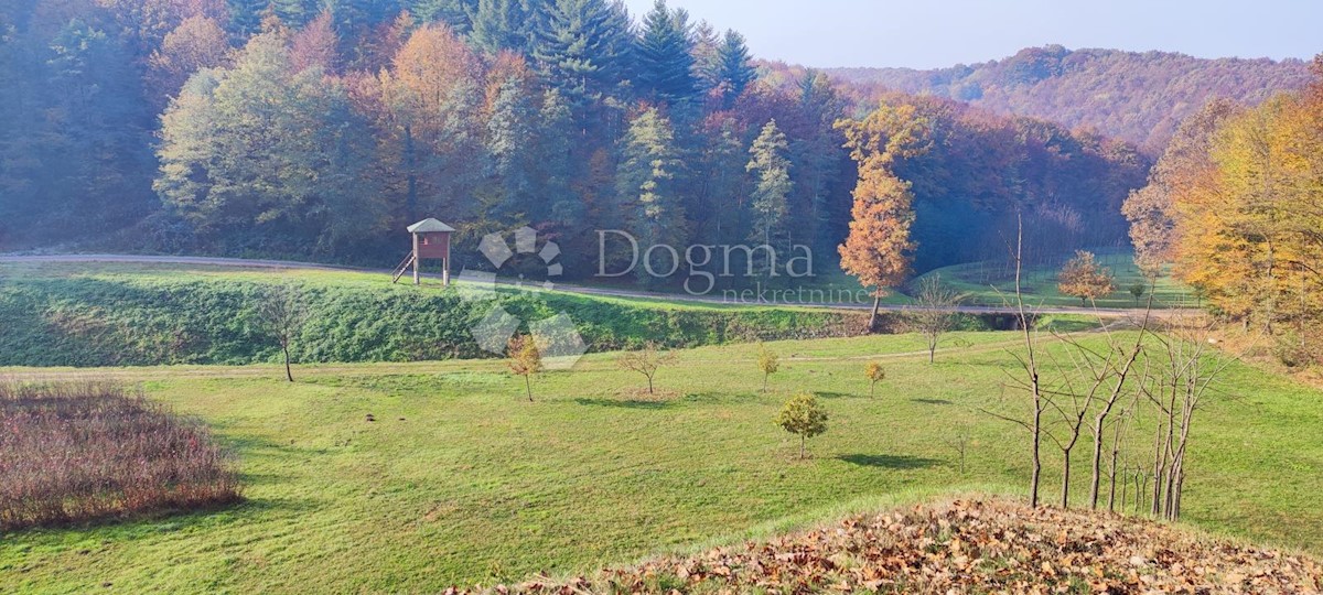 Parcela Na predaj - VARAŽDINSKA  LJUBEŠĆICA 