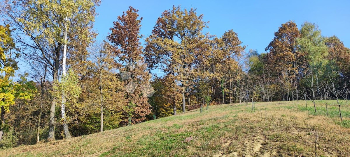 Działka Na sprzedaż - VARAŽDINSKA  Ljubešćica