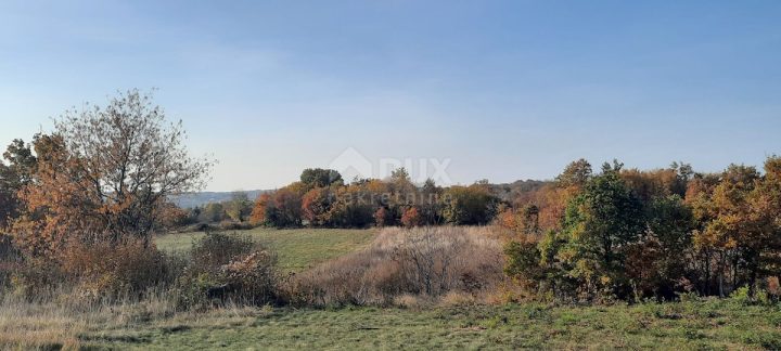 Terreno In vendita - Istarska Sveti Petar U šumi - foto 5/5