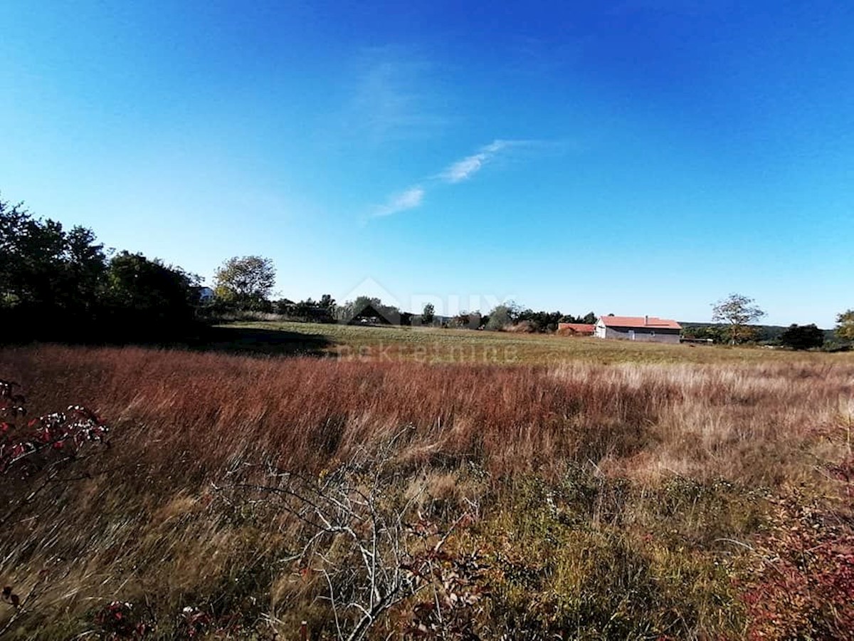 Terreno In vendita - ISTARSKA  SVETI PETAR U ŠUMI 