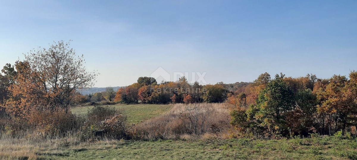 Terreno In vendita - ISTARSKA  SVETI PETAR U ŠUMI 