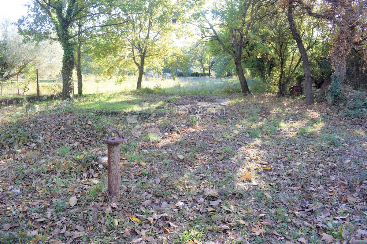 Terreno In vendita - ISTARSKA  MEDULIN 