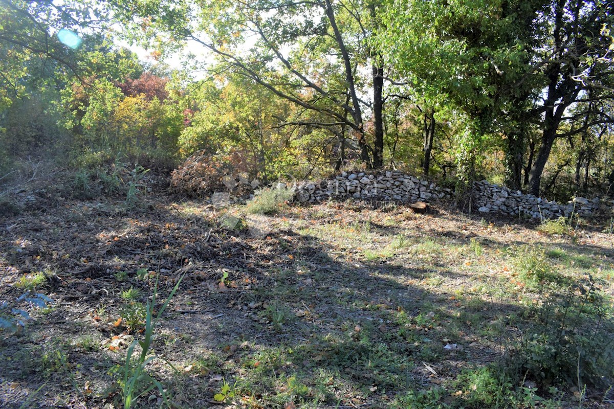 Terreno In vendita - ISTARSKA  MEDULIN 