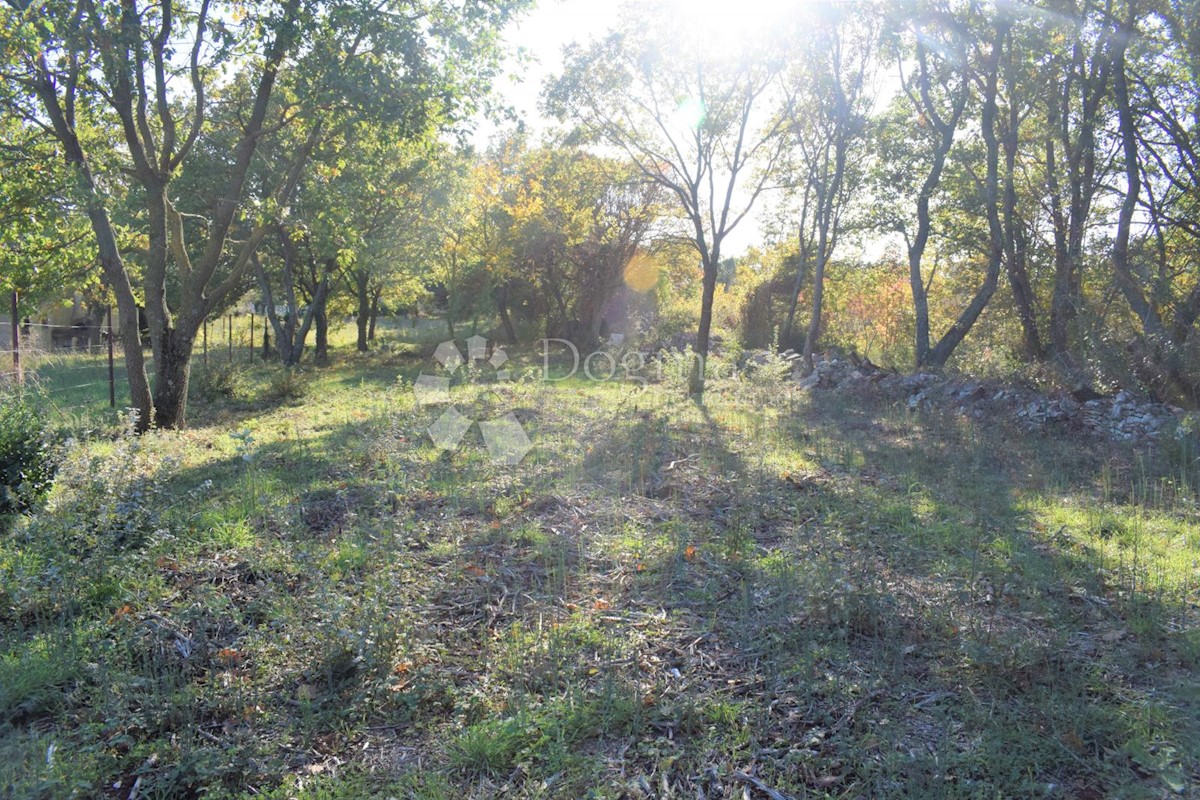 Terreno In vendita - ISTARSKA  MEDULIN 