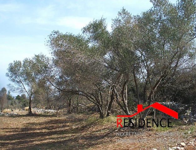 Pozemek na prodej 8196 m² – Premantura
