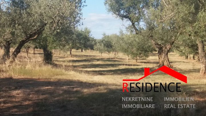 Terreno in vendita 3050 m² – Fažana