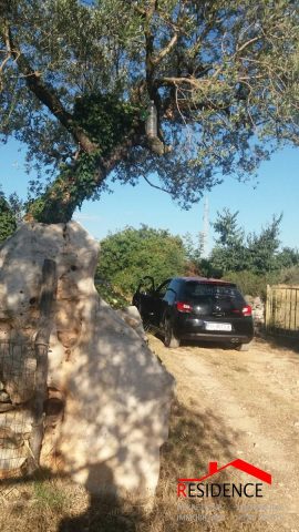 Parcela Naprodaj - Istarska Fažana - foto 3/6