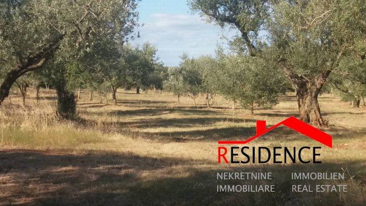 Parcela Naprodaj - Istarska Fažana - foto 4/6